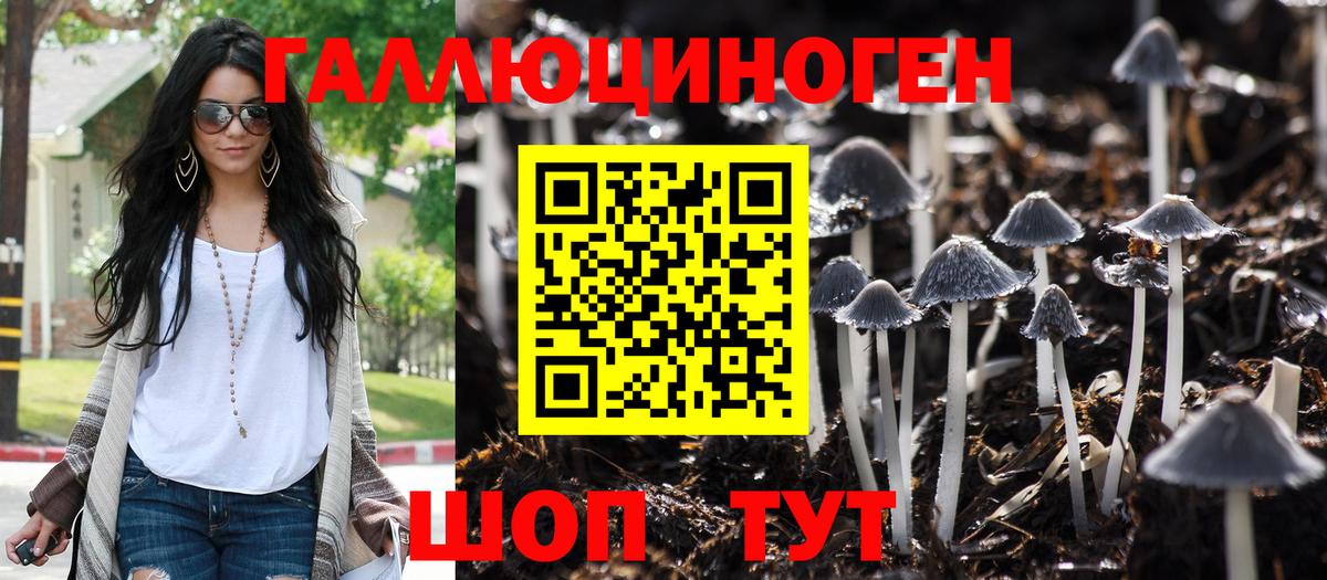 Рязань  Псилоцибиновые грибы MAGIC MUSHROOMS  Вход с VPN 
